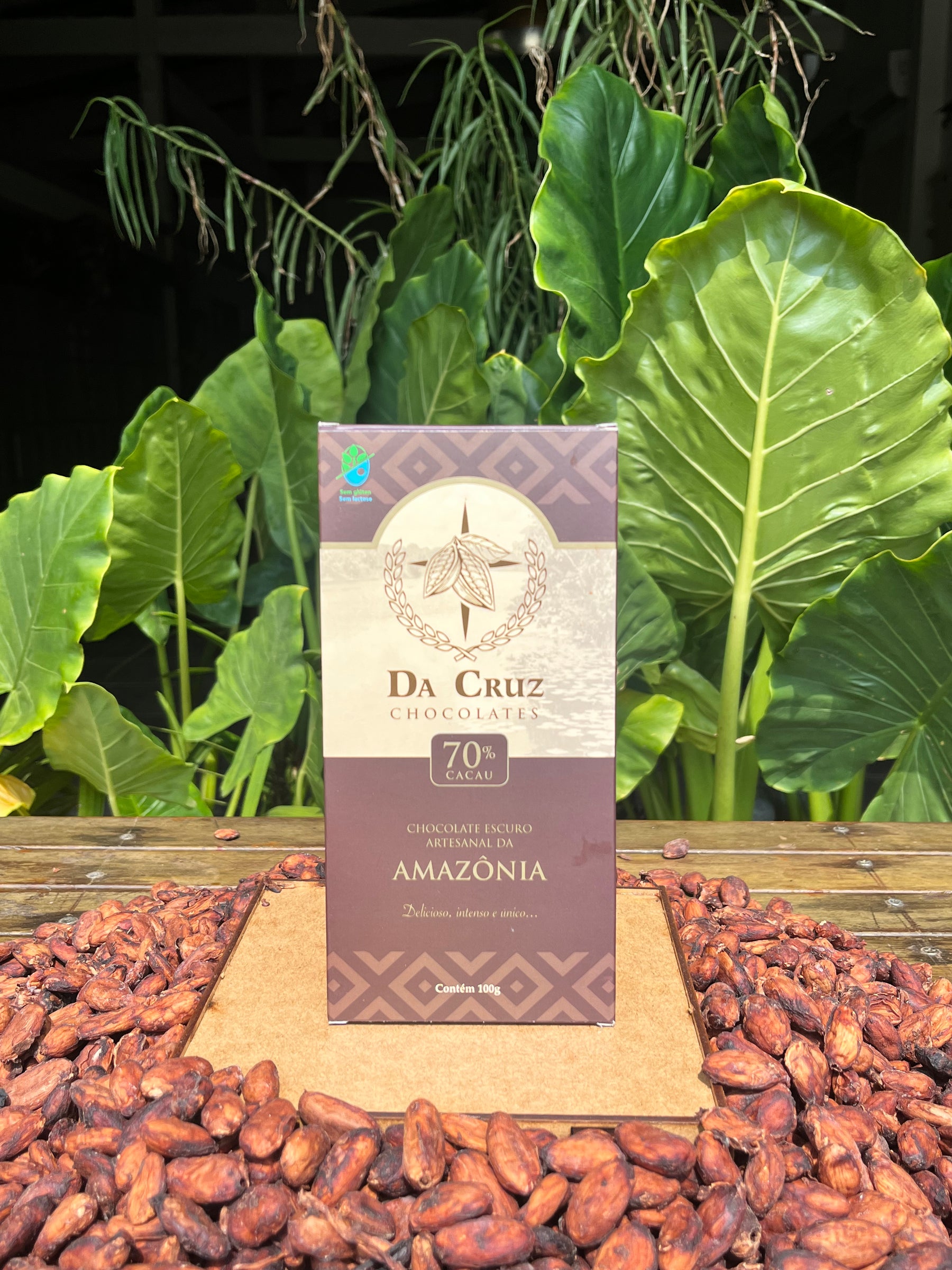 Barra de Chocolate 70% 100g