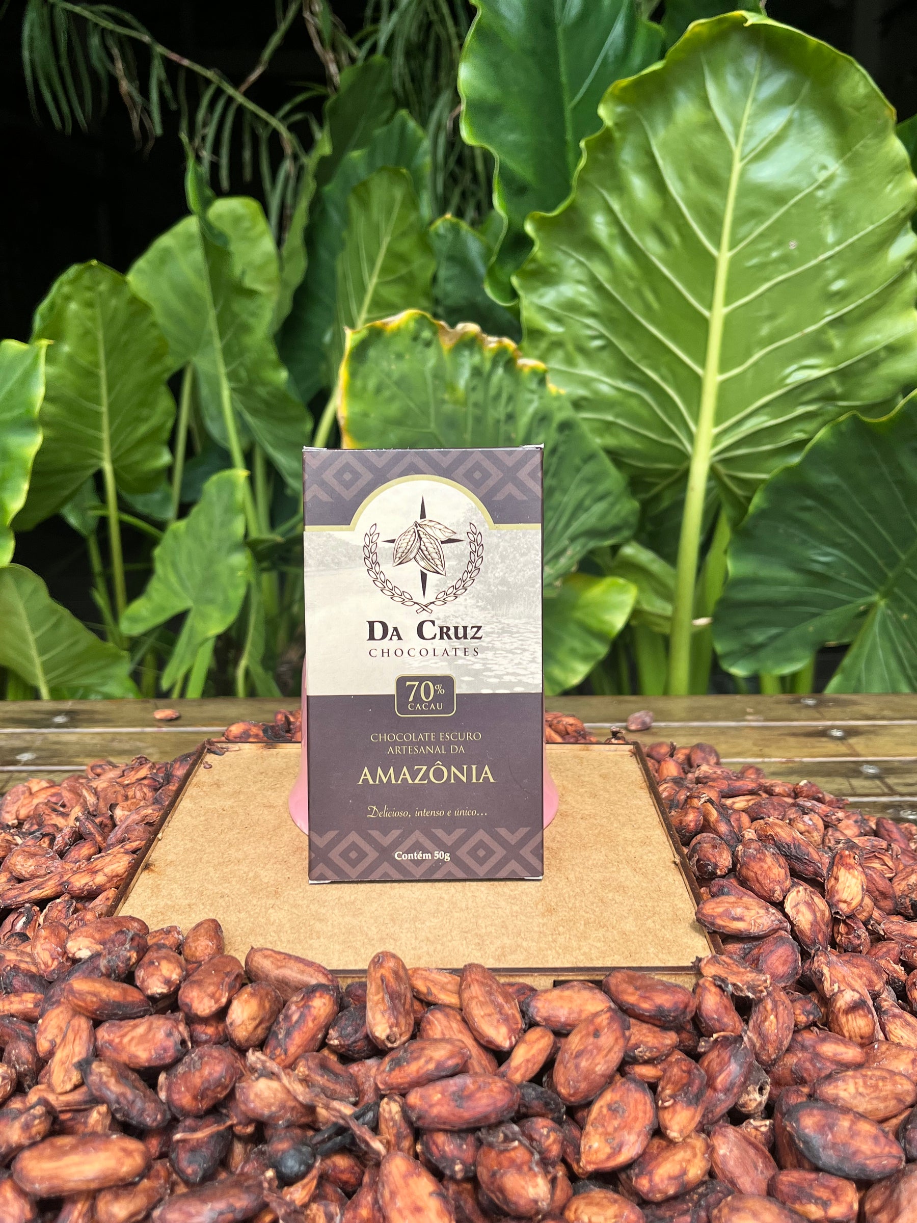 Barra de Chocolate 70% 50g